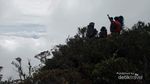 Jalan Panjang Menaklukkan Rantemario, Gunung Tertinggi di Sulawesi