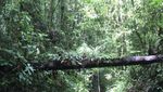 Jalan Panjang Menuju Puncak Binaiya