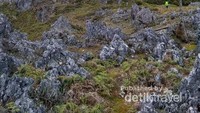 karst bebatuan tajam , memperlihatkan terjalnya medan menuju puncak
