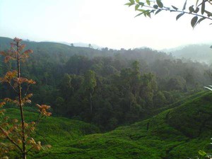 Jalur Pendakian Gunung Salak Ditutup Sementara