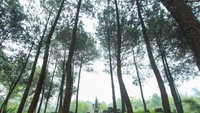 Pos 1, Goa Ontoboego dengan patung naganya