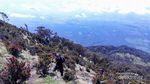 Jalur Penuh Misteri Menuju Gunung Arjuno