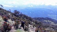 Sungguh perjuangan yang luar biasa demi mencapai sebuah puncak