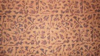 Batik Jambi (sumber: jambitourism.co.id)