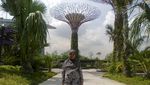 Jangan Cuma Belanja di Singapura, Coba Gardens by the Bay