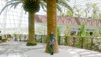 Gardens by the Bay