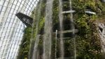 Jangan Cuma Belanja di Singapura, Coba Gardens by the Bay