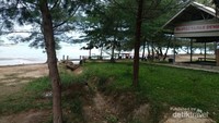 pemandangan