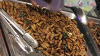 Ulat goreng yang gemuk (Ichsan/detikHot)