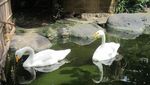 Jatim Park Group Buka Setiap Hari Mulai 1 Oktober