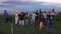 Amazing Tampomas