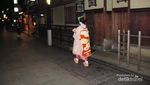 Jatuh Bangun Mengejar Geisha di Jepang