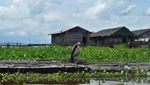 Jatuh Cinta dengan Keramahan di Tanjung Isuy