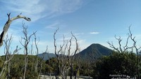 salah satu pesona gunung Papandayan