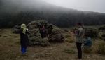 Jatuh Cinta dengan Panorama Gunung Papandayan