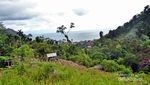 Jatuh Cinta Pada Gampong Simpang Tiga di Aceh Selatan
