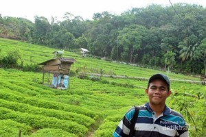Jatuh Cinta Pada Gampong Simpang Tiga di Aceh Selatan
