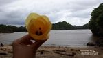 Jatuh Cinta Pada Pantai Teluk Asmoro di Malang