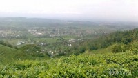 Pemandangan sekitar dari atas perbukitan
