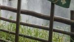 Jawa Tengah Punya Air Terjun Tiga Tingkat