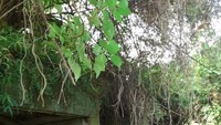 Bunker dari dekat