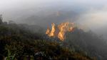 Jelajah Alam Liar Aceh di Gunung Burni Telong