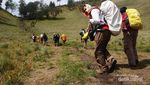 Jelajah Alam Semeru, Dari Danau Hingga Savana