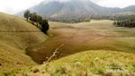 Jelajah Alam Semeru, Dari Danau Hingga Savana