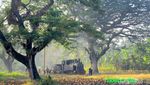 Jelajah Hutan Jati Naik Kereta Kuno di Cepu