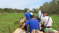 Naik logging train
