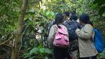 Jelajah Hutan Taman Nasional Gunung Leuser? Siapa takut