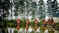 Dusun Bambu