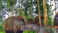 Rumah Sarang Burung