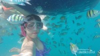 Snorkeling di Pulau Macan