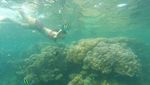 Jelajah Pulau di Kepulauan Seribu, Seru Banget!