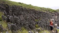 Bukit Pulau Kalong