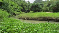 Pemandangan dekat Pantai Greweng