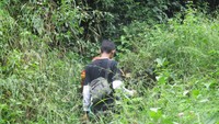 Semak Belukar di Jalan Menuju Pulau Kalong