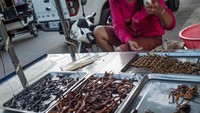 Buat yang ingin mencicipi sensasi kuliner ekstrem. DIsediakan makanan siap saji