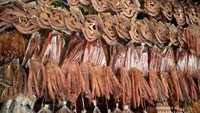 Salah satu makanan favorit saya, ikan kering dengan rasa asin atau manis dari bahan ikan gabus. Cukup digoreng dan dimakan dengan Mangga. Bisa dijadikan oleh-oleh buat keluarga di rumah