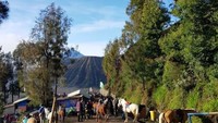 Pendakian Seruni Point