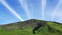 Padang Savana
