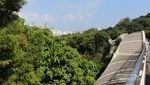 Jembatan Cantik di Pesona Negara Urban Singapura, Sudah Tahu?