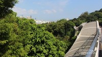 Pemandangan Henderson waves yang unik.