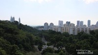 Pemandangan kota yang nampak dari Henderson waves