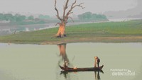 panorama Indah danau