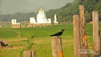 Burung dan pagoda