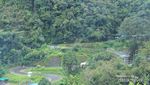 Jembatan Kelok Sembilan & Panorama Indah Ranah Minang