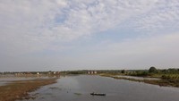 Hamparan rawa-rawa yang bisa dilihat dari jembatan tanjung senai