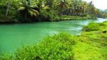Jembatan Watu Karung, Traveling Tak Harus ke Tempat Wisata!